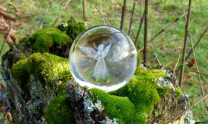 🌿🌸Celebriamo la Terra con gli Angeli della Natura