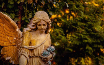 Mio Angelo Custode, oggi voglio ringraziarti ❤️ Mio Angelo Custode, oggi voglio ringraziarti ❤️