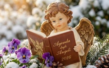 Un Anno insieme agli Angeli 😇 Un Anno insieme agli Angeli 😇